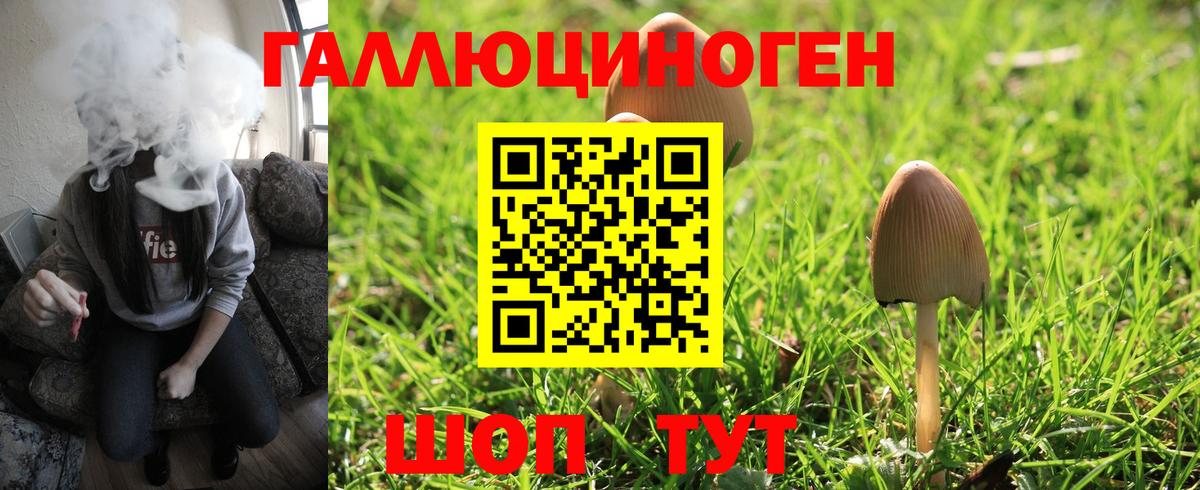 Галлюциногенные грибы MAGIC MUSHROOMS  Вход с VPN  Галлюциногенные грибы ЛСД  Новочебоксарск 