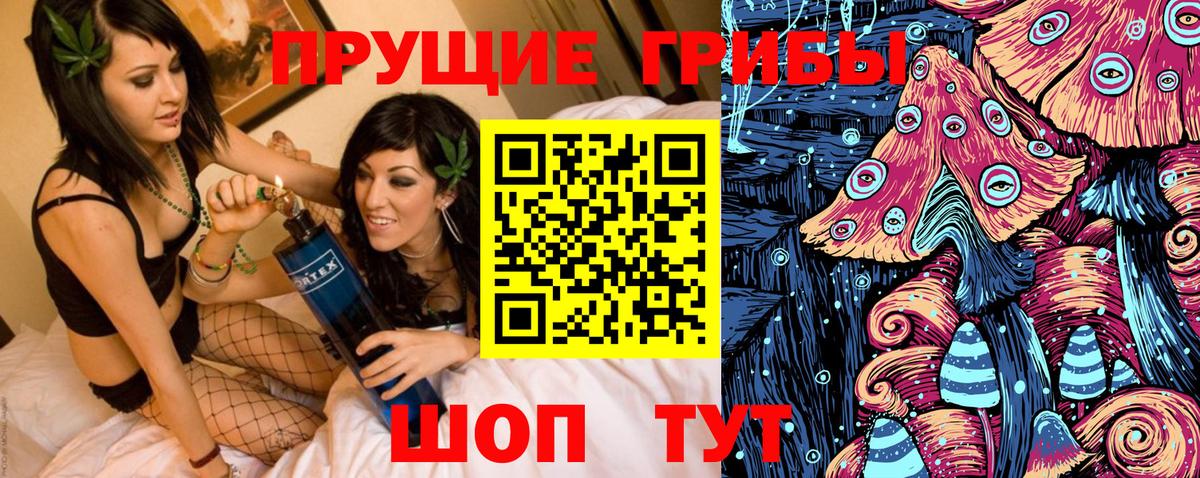 Псилоцибиновые грибы прущие грибы Новочебоксарск